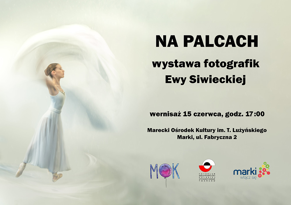 plakat ES z logami maly