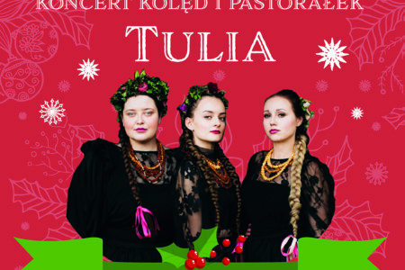 Tulia plakat do internetu